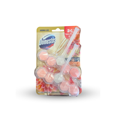 Domestos WC blok - Dahlia Flowers and Dragonfruit 2x55g