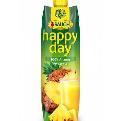 5235 Džús Ananás 100% 1l Happy Day Rauch